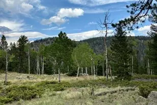36266 County Road Nn 46, Villa Grove, CO 81155 - Photo 8