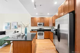 1950 N Logan Street, Denver, CO 80203 - Photo 18