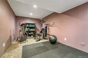 6810 Sea Oats Dr, Parker, CO 80138 - Photo 32