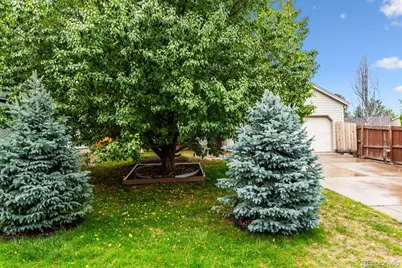 17628 Junegrass Place, Parker, CO 80134 - Photo 30
