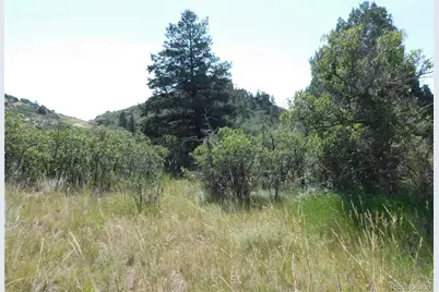 5967 Country Club Drive, Larkspur, CO 80118 - Photo 14