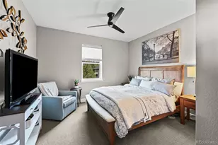 7043 Homeplace St, Castle Rock, CO 80108 - Photo 24