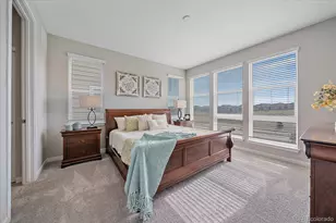 3648 Cerf Wy, Castle Rock, CO 80109 - Photo 16