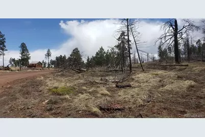 Lot 179 Duffy Lane, Fort Garland, CO 81133 - Photo 4