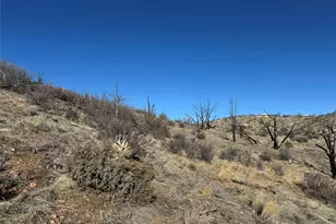 F Path and 37th Trail, Cotopaxi, CO 81223 - Photo 1