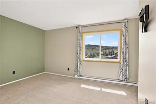 258 Cove Blvd, Dillon, CO 80435 - Photo 24