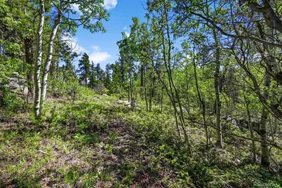 900 Rudi Lane, Golden, CO 80403 - Photo 12