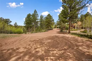 381 Saddleback Creek Dr, Florissant, CO 80816 - Photo 40