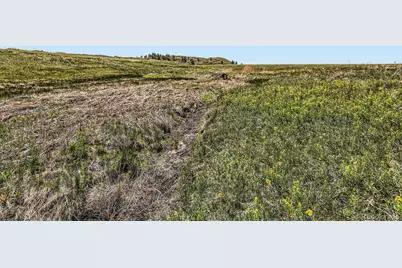 11750 S State Highway 83, Franktown, CO 80116 - Photo 14