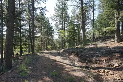 422 Spring Valley Drive, Divide, CO 80814 - Photo 18