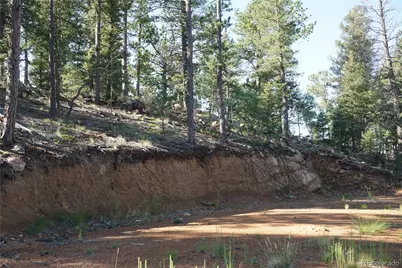 422 Spring Valley Drive, Divide, CO 80814 - Photo 2