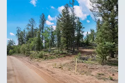 422 Spring Valley Drive, Divide, CO 80814 - Photo 8