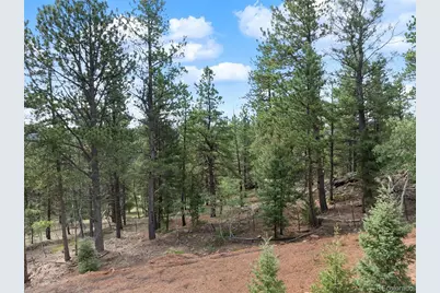 422 Spring Valley Drive, Divide, CO 80814 - Photo 20