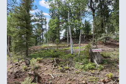 422 Spring Valley Drive, Divide, CO 80814 - Photo 4
