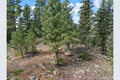 422 Spring Valley Drive, Divide, CO 80814 - Photo 22