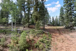 422 Spring Valley Dr, Divide, CO 80814 - Photo 1