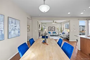 4526 Grapevine Way, Castle Rock, CO 80109 - Photo 8