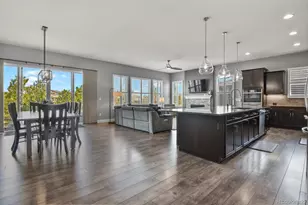 11157 Sweet Cicely Dr, Parker, CO 80134 - Photo 6