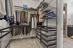 11157 Sweet Cicely Dr, Parker, CO 80134 - Photo 20