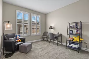 11157 Sweet Cicely Dr, Parker, CO 80134 - Photo 24