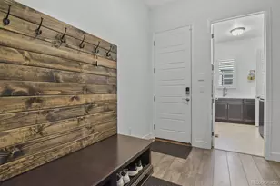 11157 Sweet Cicely Dr, Parker, CO 80134 - Photo 22