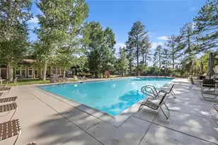 939 Greenway Ln, Castle Pines, CO 80108 - Photo 46