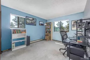 9629 Fallen Rock Rd, Conifer, CO 80433 - Photo 22