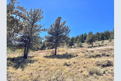 3129 Redhill Road, Fairplay, CO 80440 - Photo 38