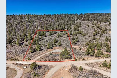 3129 Redhill Road, Fairplay, CO 80440 - Photo 4