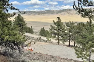 3129 Redhill Rd, Fairplay, CO 80440 - Photo 1