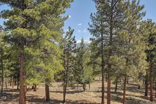 30220 Columbia Point, Buena Vista, CO 81211 - Photo 48