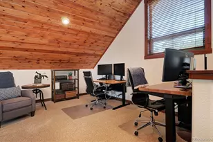 30220 Columbia Point, Buena Vista, CO 81211 - Photo 28