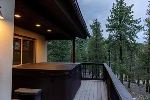 30220 Columbia Point, Buena Vista, CO 81211 - Photo 40