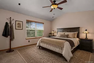 1394 Black Pine Ct, Castle Rock, CO 80104 - Photo 20