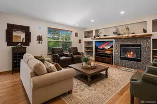 1394 Black Pine Ct, Castle Rock, CO 80104 - Photo 10