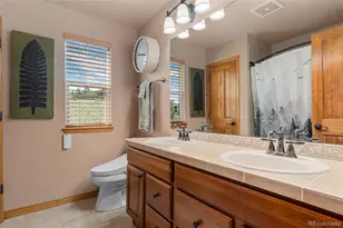 1394 Black Pine Ct, Castle Rock, CO 80104 - Photo 28