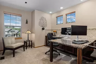 1394 Black Pine Ct, Castle Rock, CO 80104 - Photo 26