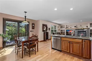 1394 Black Pine Ct, Castle Rock, CO 80104 - Photo 14