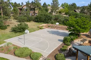 1394 Black Pine Ct, Castle Rock, CO 80104 - Photo 44