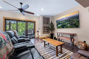 1394 Black Pine Ct, Castle Rock, CO 80104 - Photo 30