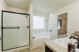 1019 Mount Oxford Ave, Windsor, CO 80550 - Photo 36