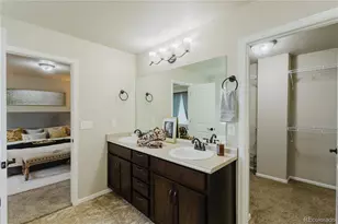 1019 Mount Oxford Ave, Windsor, CO 80550 - Photo 34