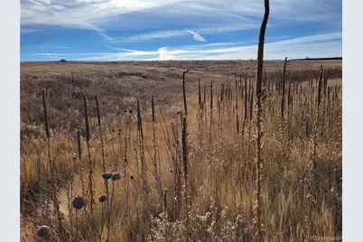 35635 County Road 160, Agate, CO 80101 - Photo 26