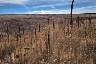 35635 County Rd 160, Agate, CO 80101 - Photo 26