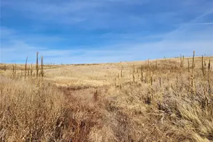 35635 County Rd 160, Agate, CO 80101 - Photo 30