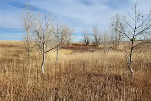 35635 County Rd 160, Agate, CO 80101 - Photo 34