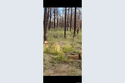 1386 Emery Loop, Fort Garland, CO 81133 - Photo 6