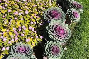 580 S Clinton St, Denver, CO 80247 - Photo 46