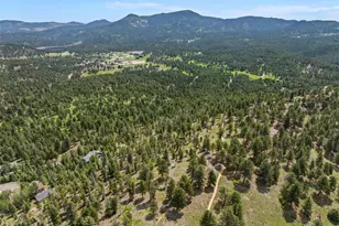 5378 Evergreen Heights Dr, Evergreen, CO 80439 - Photo 44