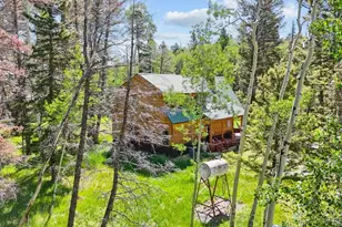 1380 Spruce Rd, Cimarron, CO 81220 - Photo 36